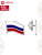 Значок серебро 925 пробы, покрытие - платинирование, отделка - эмаль, без вставок