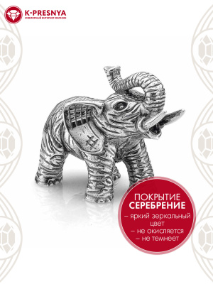 Сувенир бижутерия, покрытие - серебрение с оксидированием, без вставок